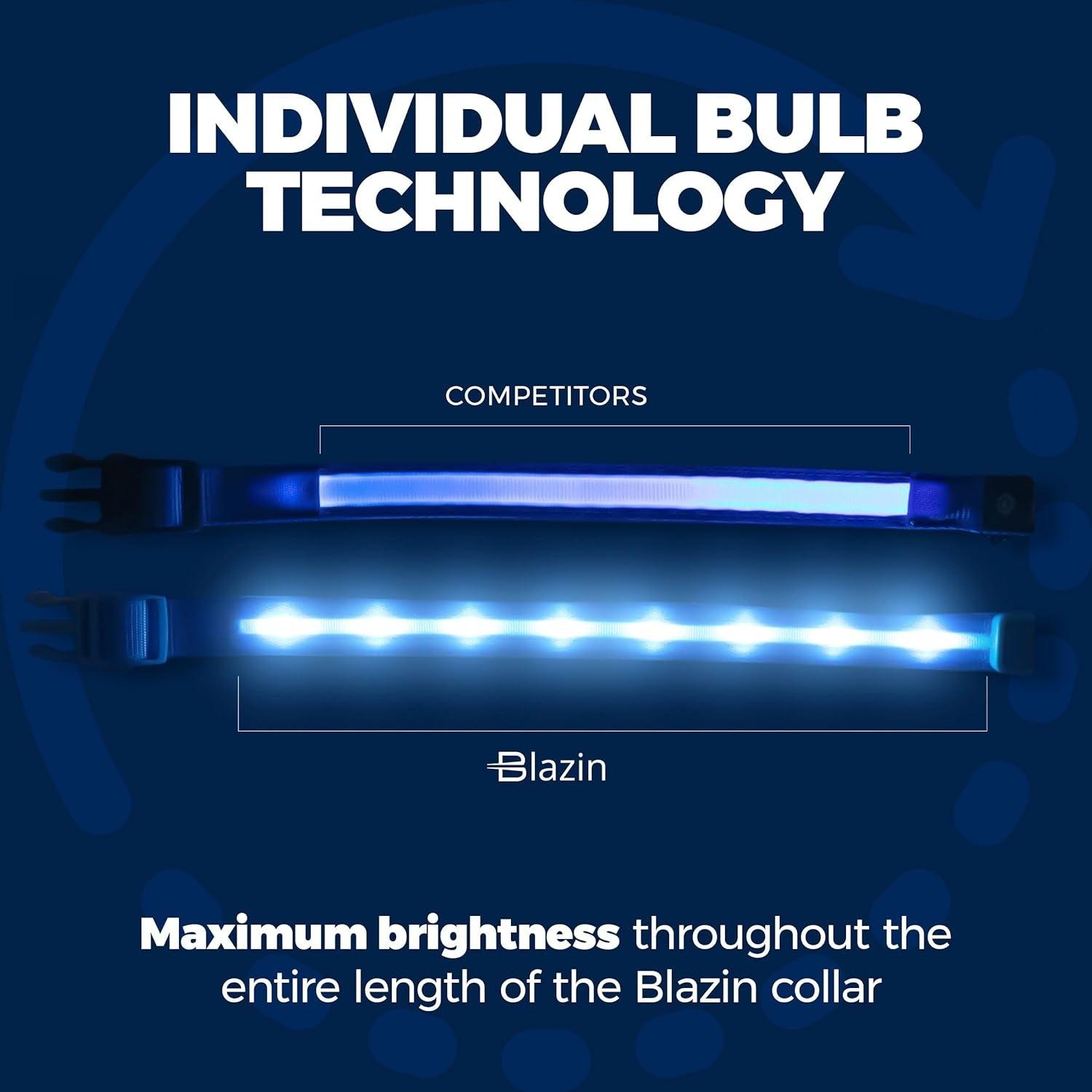 Brightest Light up Dog Collars - the Original LED Dog Collar with 1,000 Feet of Visibility - USB Rechargeable Waterproof Dog Collar Light - Dog Lights for Night Walking - USA Brand - My Store