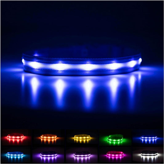 Brightest Light up Dog Collars - the Original LED Dog Collar with 1,000 Feet of Visibility - USB Rechargeable Waterproof Dog Collar Light - Dog Lights for Night Walking - USA Brand - My Store